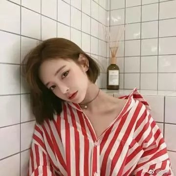 面包与玫瑰