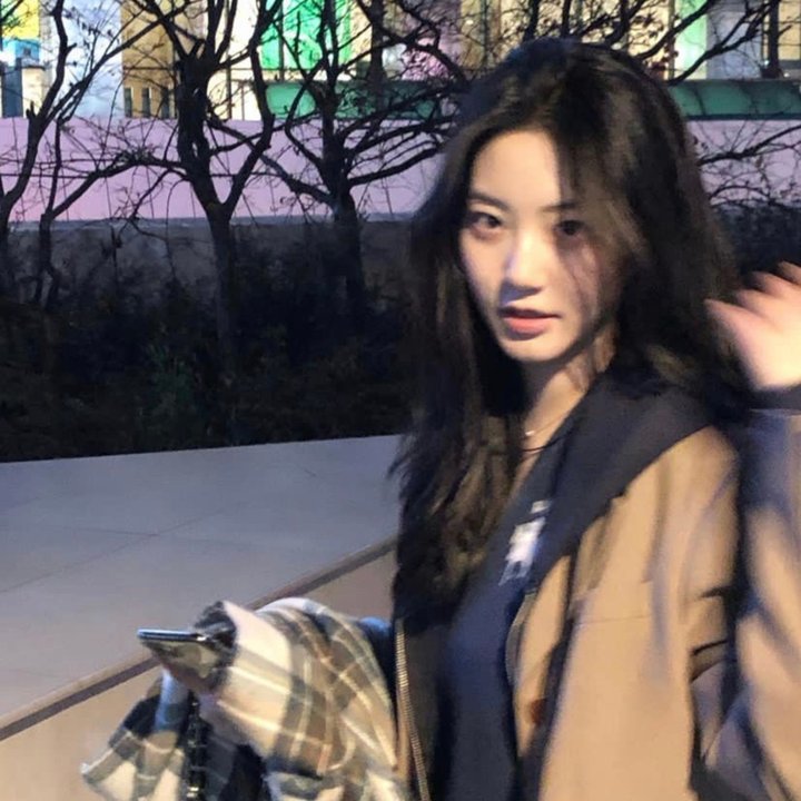 崔弟的高飞冒险